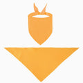 Polyester Full Color Triangle Pet Bandanna (25"x17"x17")