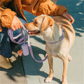 Capsule Shaped Dog Poop Bag Dispenser For Leash