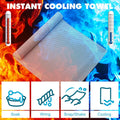 Microfiber Ice Towel With Carrying Pouch And Carabiner Clip