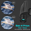 10x25 Compact Binoculars
