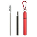 Portable Stainless Steel Telescopic Straw Set
