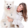 Dog Tags Stainless Steel Necklace