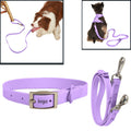 Pet Waterproof Leash Collar