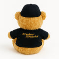 Plush Teddy Bear
