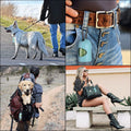 Dog Poop Bags With Bag Dispenser
