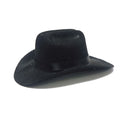 Mini Pet Cowboy Hat