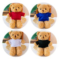 Teddy Bear With Choice of T-Shirt Color
