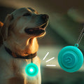 Dog Lights For Night Walking
