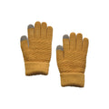 Winter Gloves
