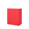 Paper Gift Bag With Handles