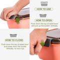 Salad Lunch Container With 4 Compartment Tray