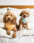 Dog Bandanas