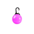 Illuminated Anti-Loss Pet Pendant