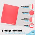 Basics Plastic 3 Hole Punch Folders With 2 Pockets