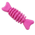 Dog Toothbrush Chew Toy