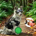 Collapsible Pet Bowl
