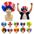 World Cup Soccer Fan Wigs