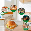 Disposable Burger Lunch Box