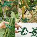 Plant Support Clip