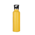 20oz Stainless Steel Water Bottle