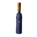 Automatic Folding Umbrella With 10 Ribs