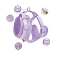 Outdoor Dog Leash Set