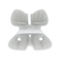 Ergonomic Lumbar Support Cushion For Kids & Students