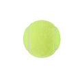 Dog Squeaky Tennis Ball Toy