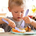Reusable Wheat Straw Cutlery Set With Portable Case