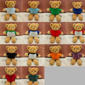 Teddy Bear Stuffed Toy Dressed Bear Doll
