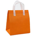 Non Woven Insulated Takeaway Bag
