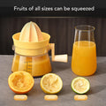 Hand Crank Manual Fruit Juicer