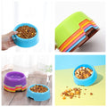 Pet Plastic Feeding Bowl