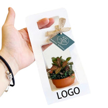 Planter Holder/ Craft Paper Gift Bag/ Potted Plant Packaging
