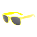 Single Color Matte Sunglasses