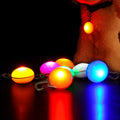 Anti-Lost LED Pet Pendant Light