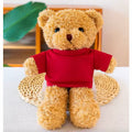 Teddy Bear Brown Bear Stuffed Plush Toys