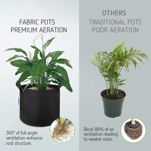 1 Gallon Plant Grow Bag With Handle
