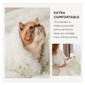 Fuzzy Faux Fur Blanket