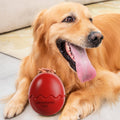 Interactive Dog Feeder Food Dispensing
