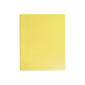 Plastic Folder With Prongs 2 Pocket
