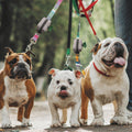 Dog Poop Bag Holder Velcro Leash Dispenser With Roll