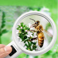 30X Led Magnifier