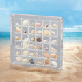 Acrylic Magnetic Seashell Display Box