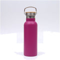 17Oz Stainless Steel Water Bottle With Handle