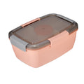 Salad Lunch Container With 4 Compartment Tray