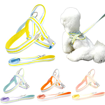Dog Traction Rope Harness Leash