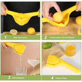 Manual Fruit Juicer Juice Press
