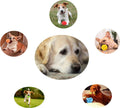 Nontoxic Bite Resistant Teething Toys Balls For Pet