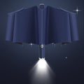 42" Fully Automatic 3-Fold Umbrella W/LED Flashlight